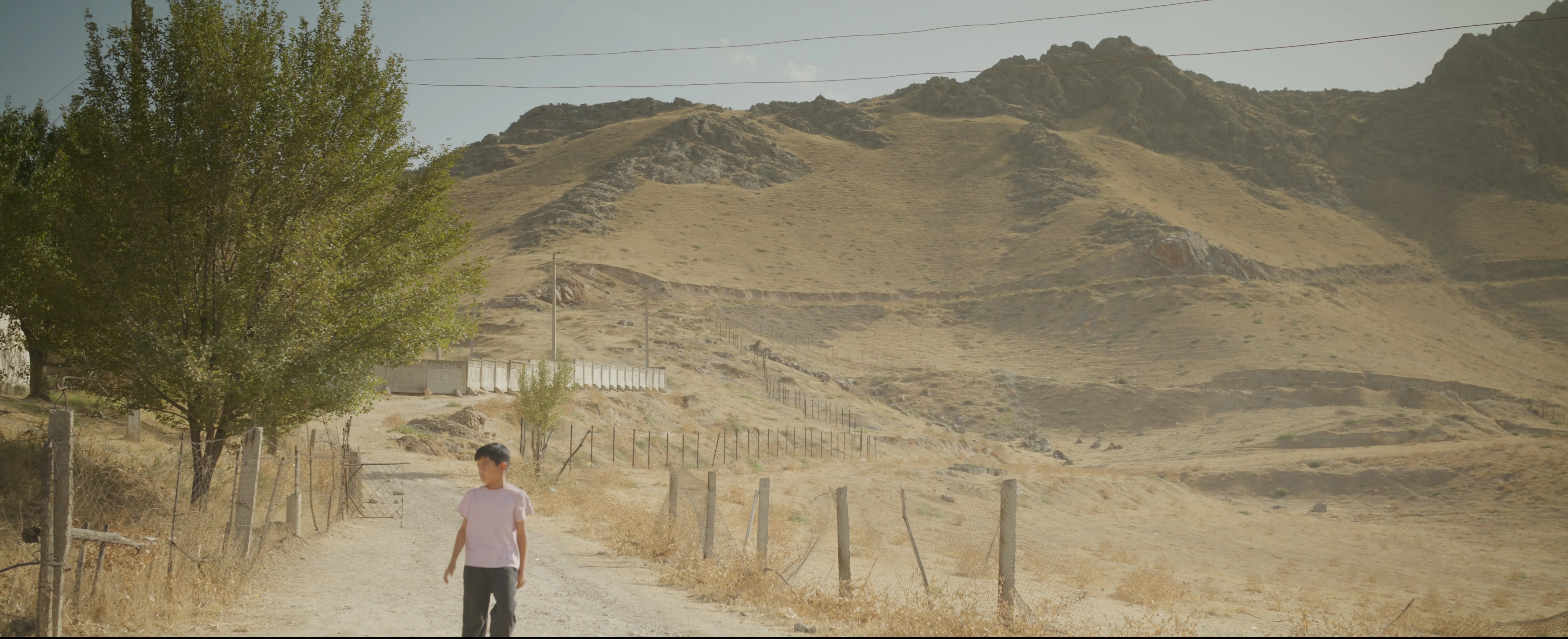 The Apple Tree That Blossomed Twice