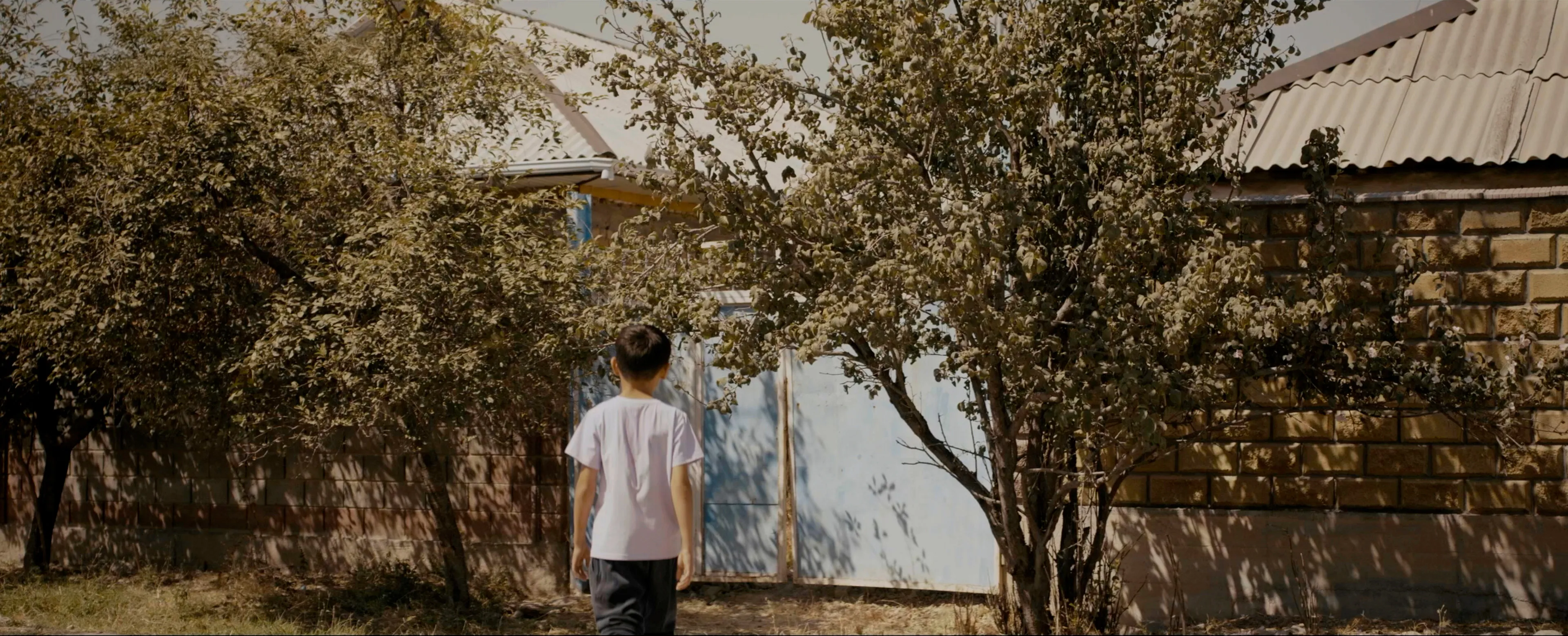 The Apple Tree That Blossomed Twice