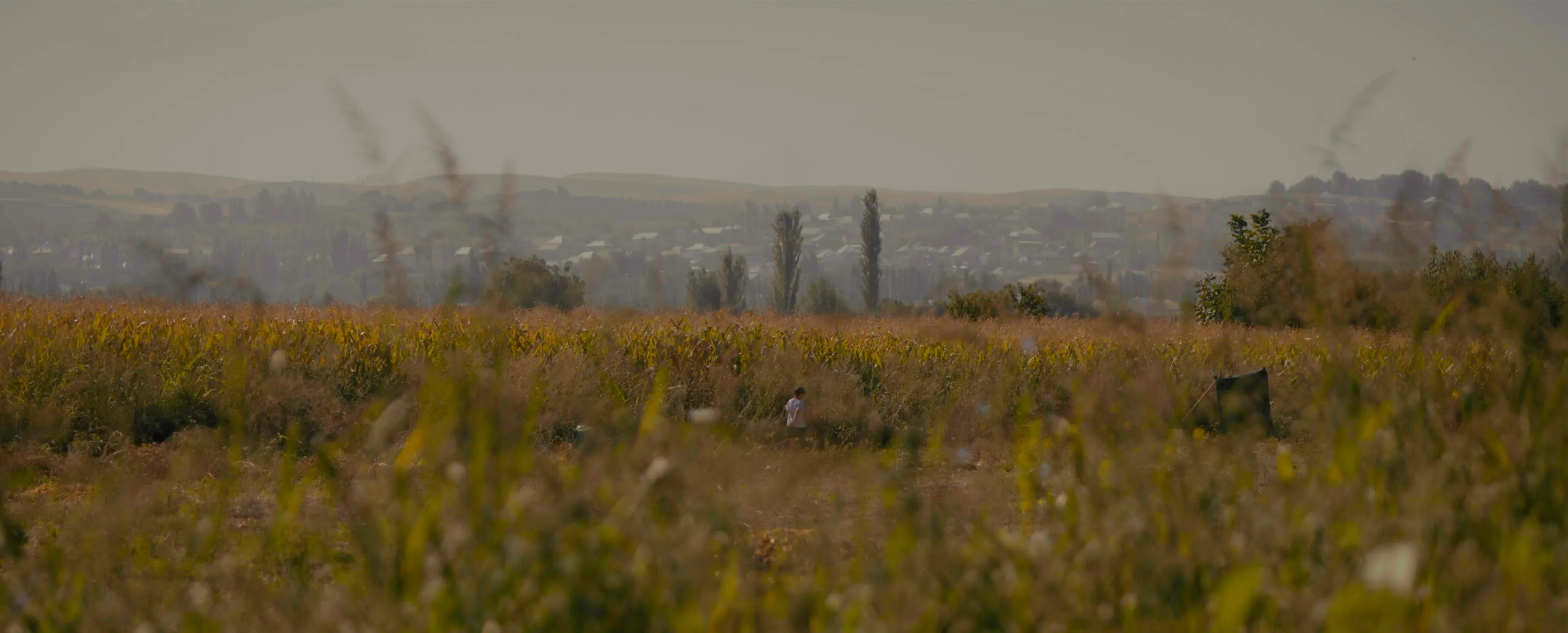 Still from The Apple Tree That Blossomed Twice